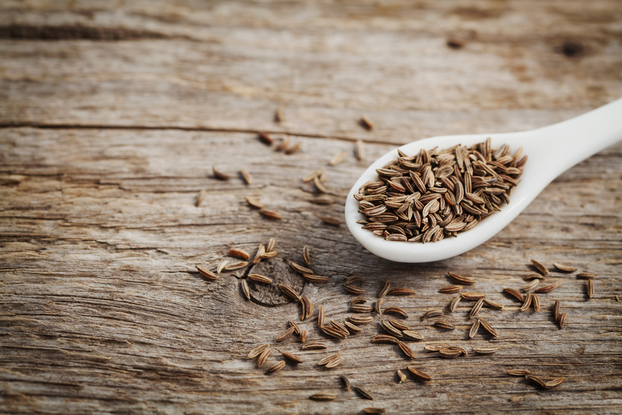 Kreuzkummel Wirkung Der Aromatischen Gewurz Und Heilpflanze