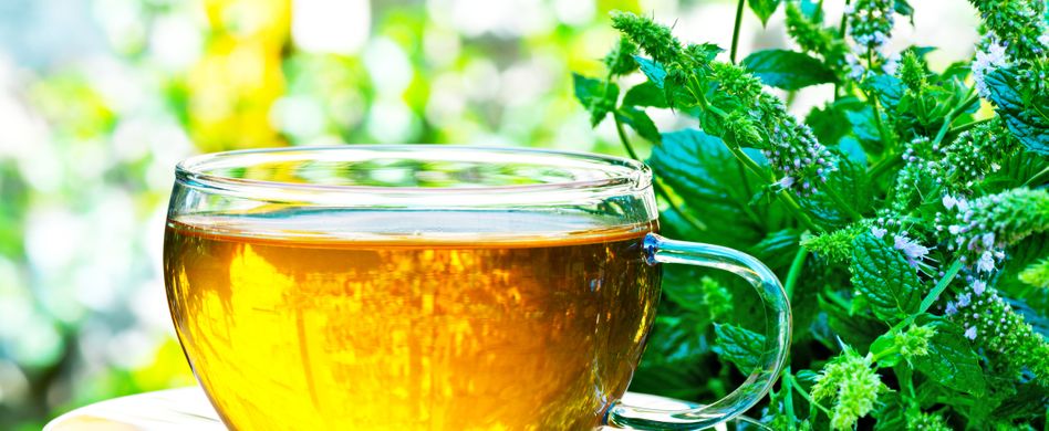 Heilpflanzen-Tee bei Erkältung: die besten Heilkräuter
