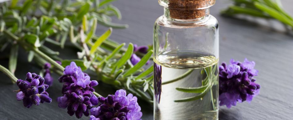 Lavendelöl: Wirkung des duftenden Öls