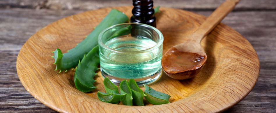 Aloe vera-Öl: Die wichtigsten Fakten über das Öl der Wüstenpflanze