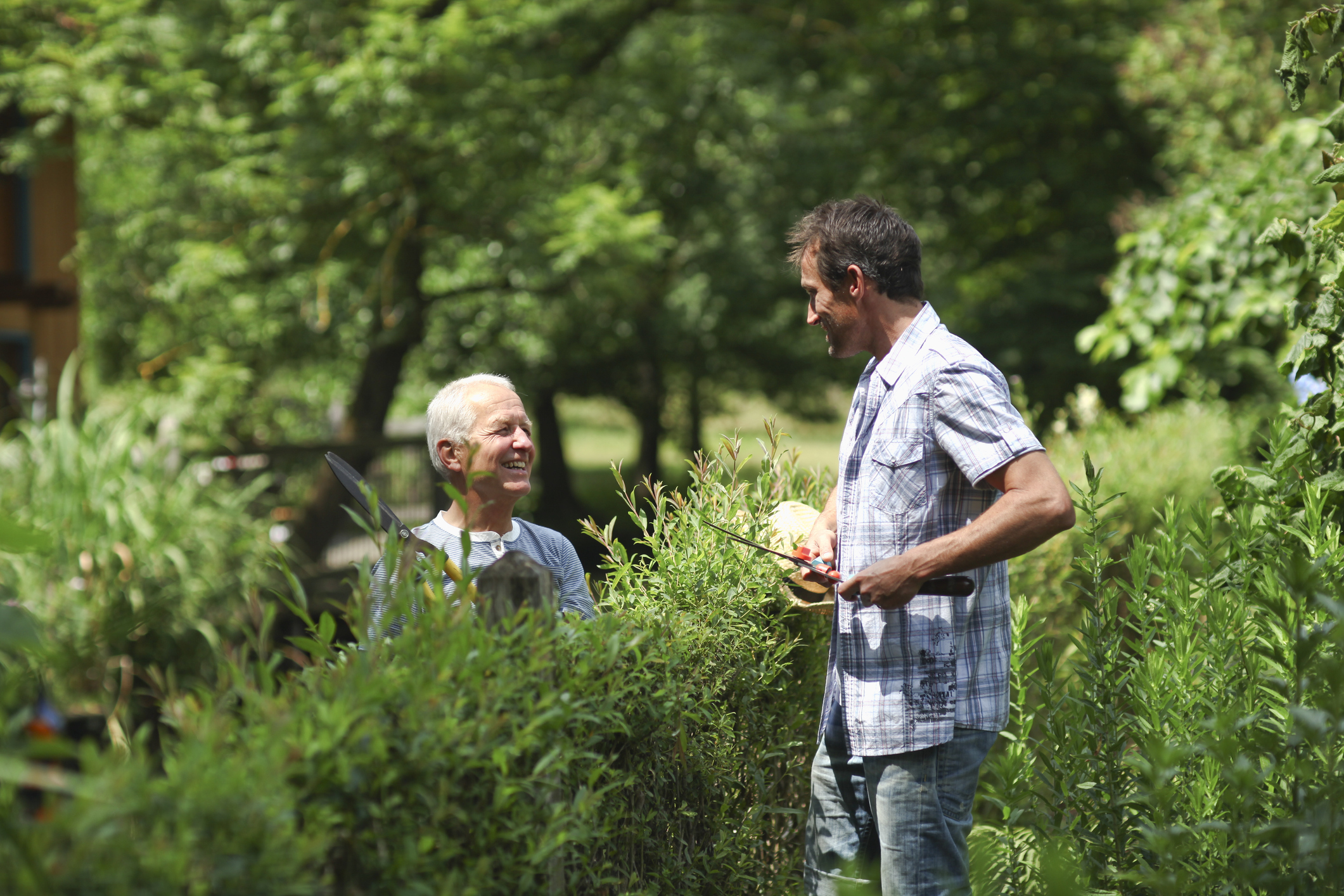 Streit Am Gartenzaun Wichtige Informationen Zum Nachbarschaftsrecht