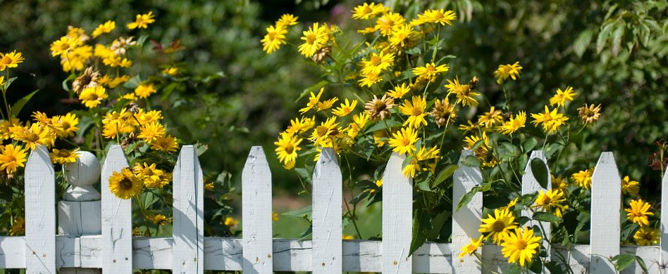 Nachbarschaftsrecht Feuer Im Garten