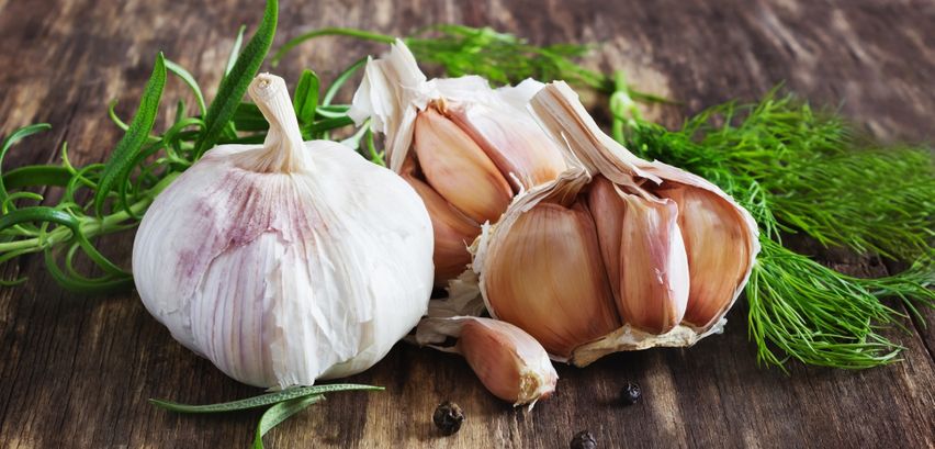 Knoblauch ernten, lagern und einlegen → Tipps zur gesunden Zwiebel