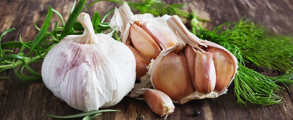 Knoblauch Ernten Lagern Und Einlegen Tipps Zur Gesunden Zwiebel