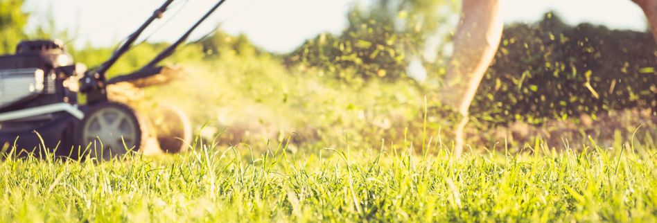 3 typische Fehler beim Rasenmähen