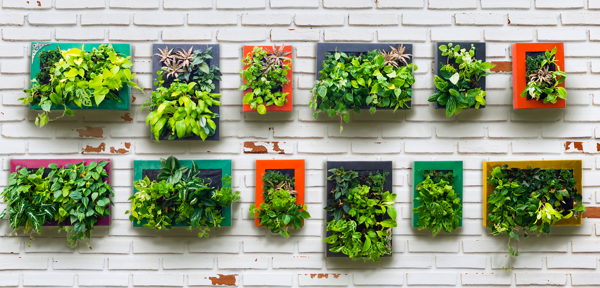 Vertikaler Garten Lesen Sie Wie Einfach Sie Senkrecht Pflanzen