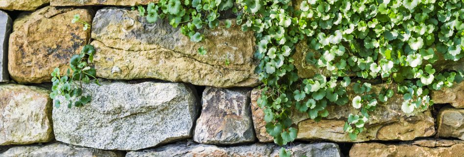 Gartenmauer Gestalten Tolle Ideen Fur Den Gartentraum