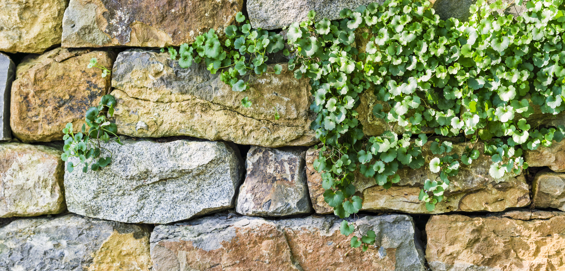 Gartenmauer Gestalten Tolle Ideen Fur Den Gartentraum