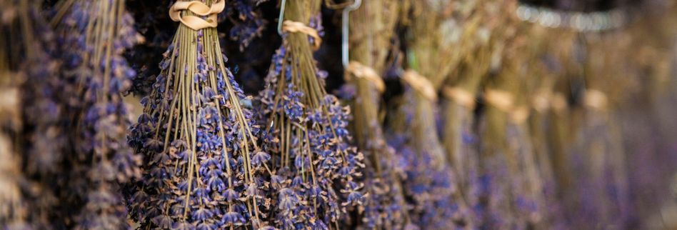 Lavendel Trocknen Und Verwenden Hier Lesen Was Wichtig Ist