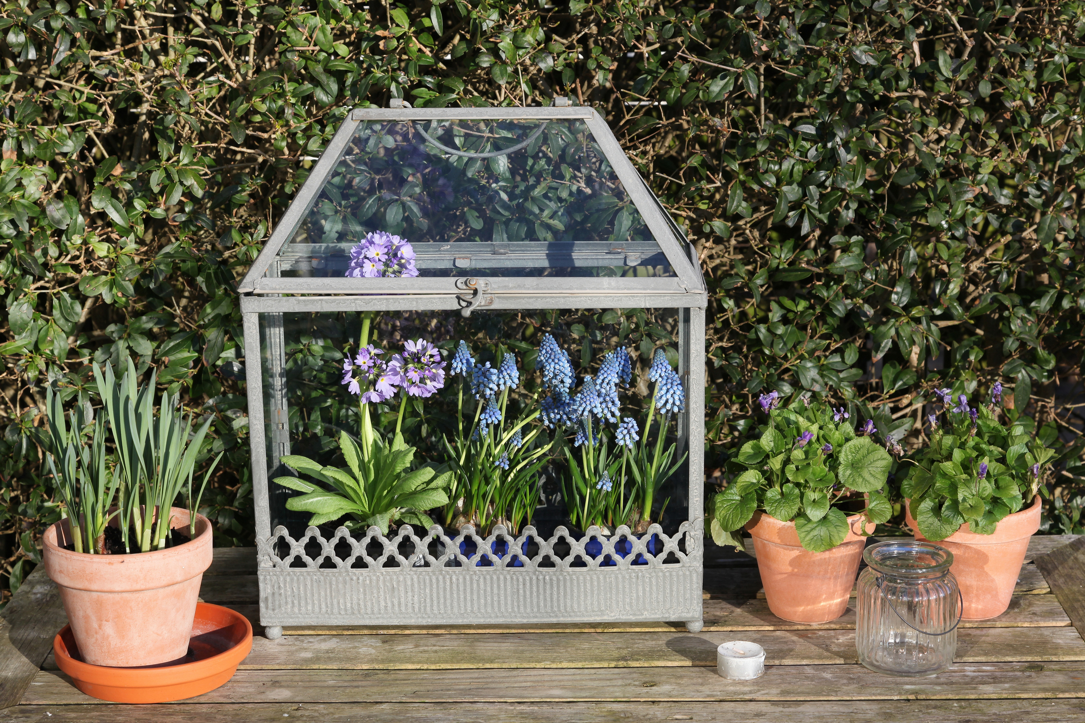 Mini Gewachshaus Fur Den Balkon Lesen Sie Tipps Zur Bepflanzung