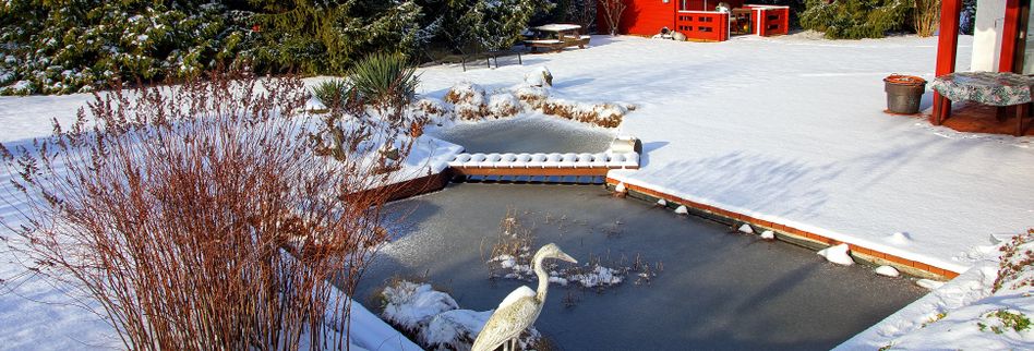 Teich winterfest machen → 7 Tipps für ein frostsicheres Gewässer