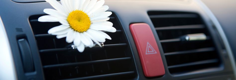 Autoluftung Oder Klimaanlage Stinkt Erfahren Sie Hier Wie Sie Den Mief Loswerden