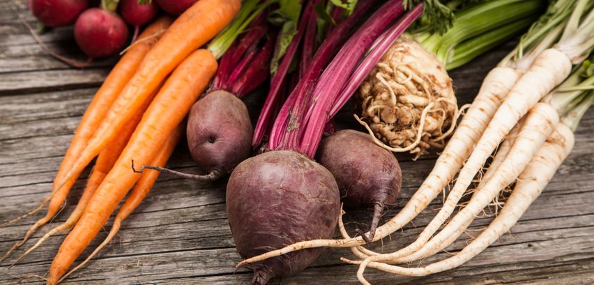 Gemüse richtig lagern → Lesen Sie mehr zum Haltbarmachen von Wurzel