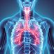 Asthma Ursachen: Das passiert in den Bronchien