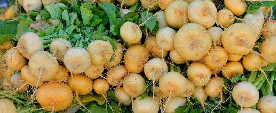 Die Speiserübe: Nährwerte und Pflanzung der gesunden Rübe