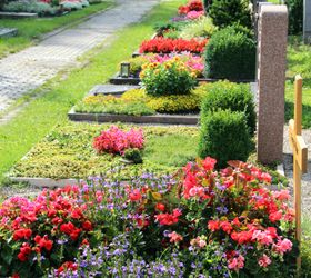 Der richtige Baum für den Garten Was Sie wissen müssen